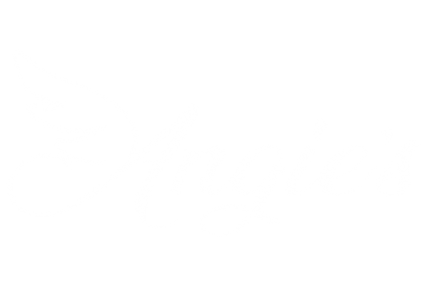 angie's